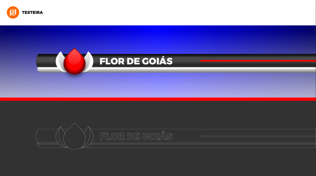 Identidade visual posto de combustível